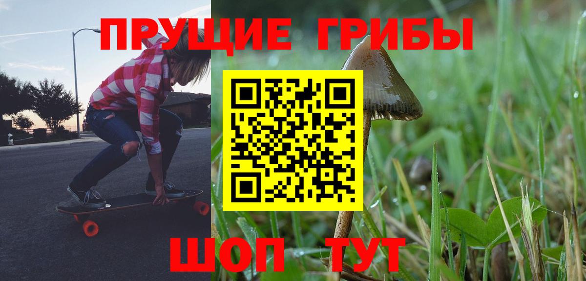 Псилоцибиновые грибы Psilocybe  Вход с VPN  Кстово 